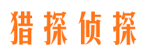 和布克赛尔私人侦探